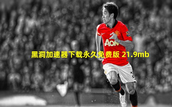 黑洞加速器下载永久免费版 21.9mb